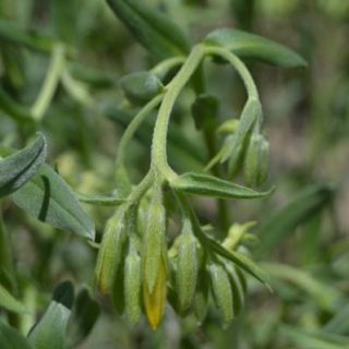 Kızılcahamam-Ankara