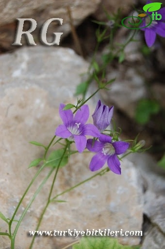 Aladağlar-Niğde