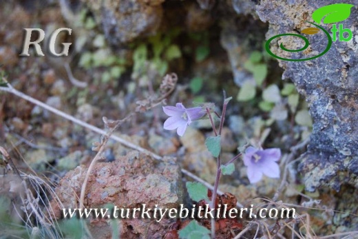 Kızılcahamam-Ankara