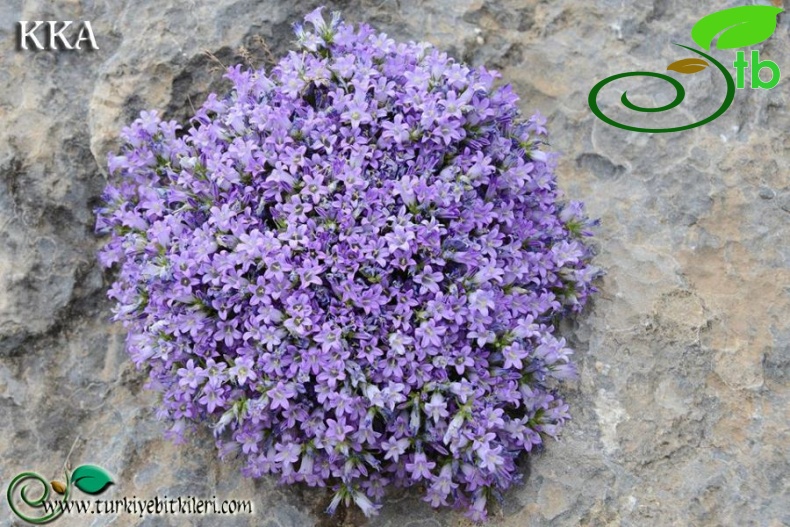 Munzur dağları-Erzincan