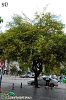 İzmir