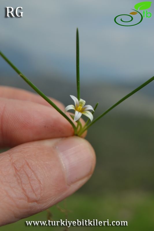 Datça-Muğla