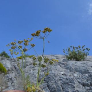 Datça-Muğla