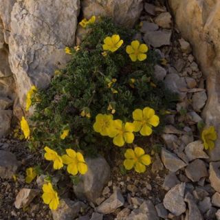 Aladağlar-Niğde