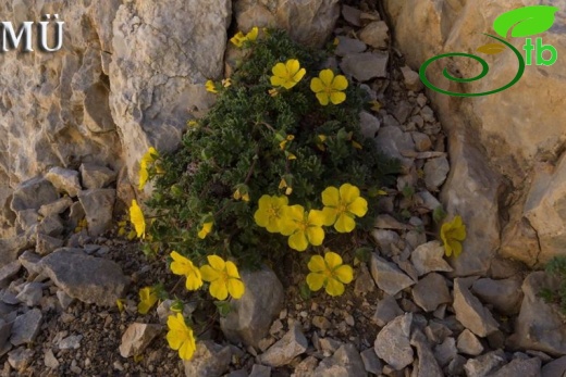 Aladağlar-Niğde