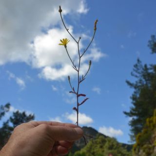 Marmaris-Muğla