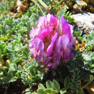 Dedegöl dağları-Isparta