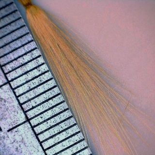 Pappus