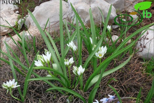 Tunceli