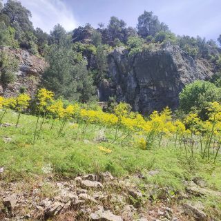 Akseki